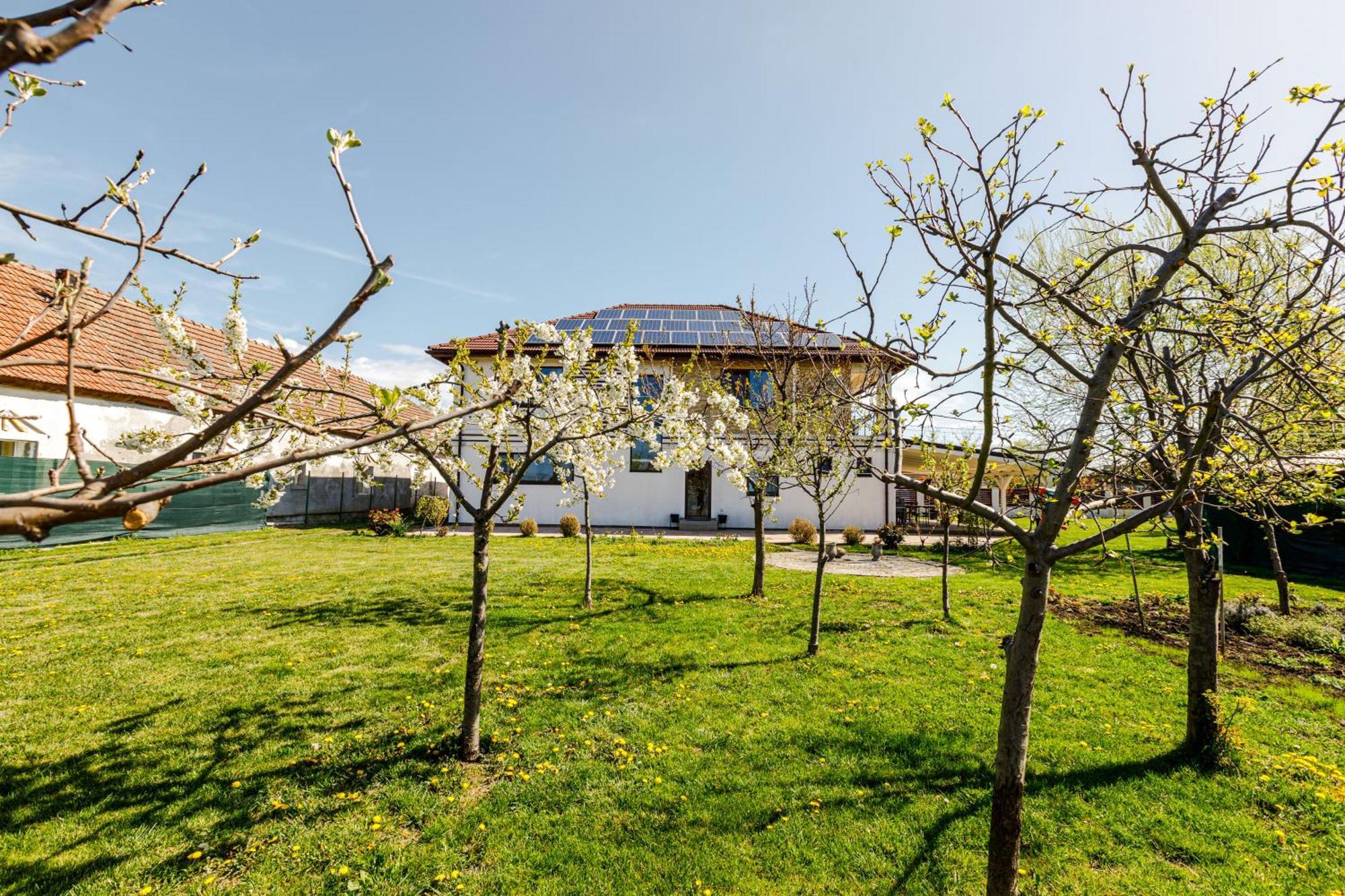 Hotel Gasthaus Sacalaz à Timişoara Extérieur photo